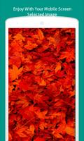 Warm Autumn Live Wallpapers imagem de tela 2