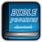 Bible Promises icône