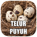 Aneka Resep Telur Puyuh Zeichen