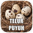 Aneka Resep Telur Puyuh