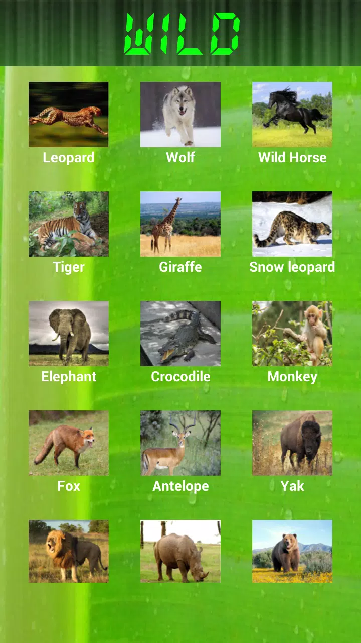 Top 181 + Weird animal sounds - Lifewithvernonhoward.com