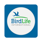 BirdLife International 圖標