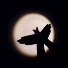 Shadow Play icon