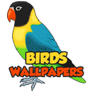 Birds Wallpapers HD APK