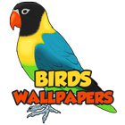 Birds Wallpapers HD आइकन