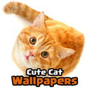 Cute Cat Wallpapers APK
