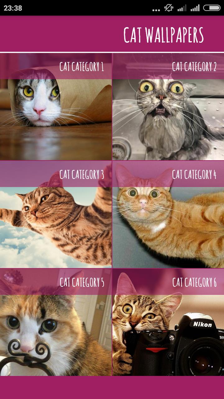 Gambar Kucing Lucu For Android Apk Download