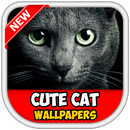 Funny Cat Wallpapers HD APK