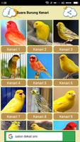 Canary singing screenshot 1
