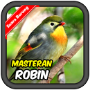 Erithacus rubecula Birds chirp APK