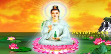 Phật Bà Quan Âm