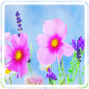 Flowers-APK