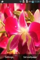 Orchid 截图 1