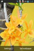 Orchid 截图 2