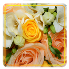 Yellow Rose simgesi
