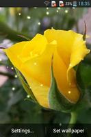 Yellow Rose Ekran Görüntüsü 2