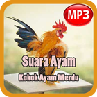 Kokok Ayam Hutan Offline icône