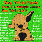 Dog Trivia Facts icône