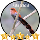 Canto Alma de Gato ไอคอน