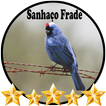 Canto de Sanhaço Frade