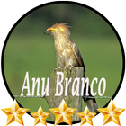 Canto de Anu Branco simgesi