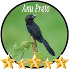 Canto de Anu Preto biểu tượng
