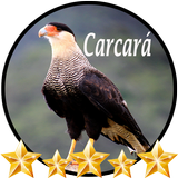 Canto de Carcará biểu tượng