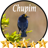 آیکون‌ Canto de Chupim