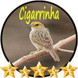 Canto de Cigarrinha biểu tượng