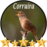 Canto de Corruíra biểu tượng
