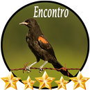 Canto de Encontro APK