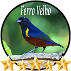 Canto de Ferro Velho ไอคอน