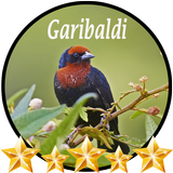Canto de Garibaldi biểu tượng