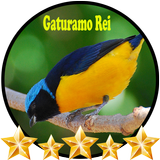 Canto de Gaturamo Rei biểu tượng