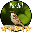 Canto de Pardal