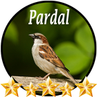آیکون‌ Canto de Pardal