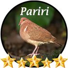 Canto de Pariri icon