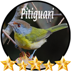 Canto de Pitiguari ไอคอน