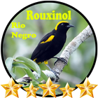 Canto de Rouxinol Rio Negro-icoon