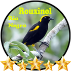 Canto de Rouxinol Rio Negro आइकन