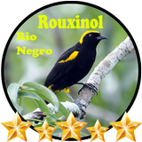 Canto de Rouxinol Rio Negro biểu tượng