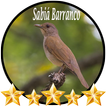 Canto de Sabiá Barranco