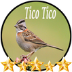 ”Canto de Tico Tico
