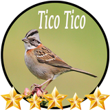 Canto de Tico Tico 아이콘
