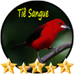 Canto do Tiê-sangue