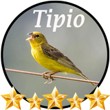 Canto de Tipio biểu tượng