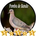 Pomba de Bando Avoante أيقونة