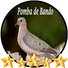 Pomba de Bando Avoante biểu tượng