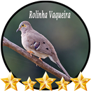 Som Rolinha Vaqueira APK