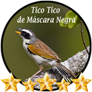 Tico Tico de Máscara Negra APK